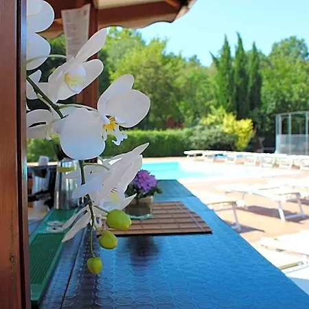 Piccolo 4* Nogara